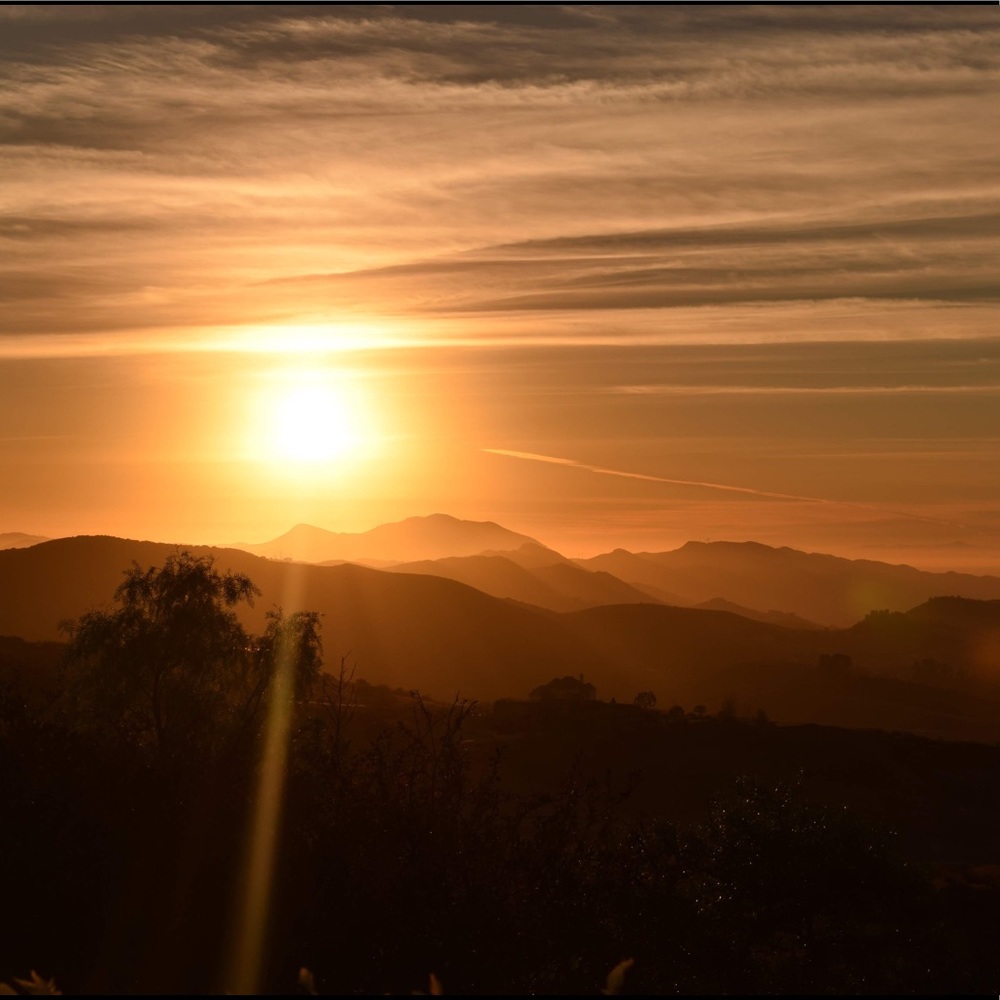 Meet your Posher, Isabella